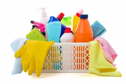 Professional pet stain odour removal cleaning in a Crewshill home
