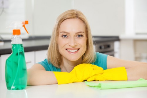 Professional hot water extraction cleaning deep inside carpet fibres
