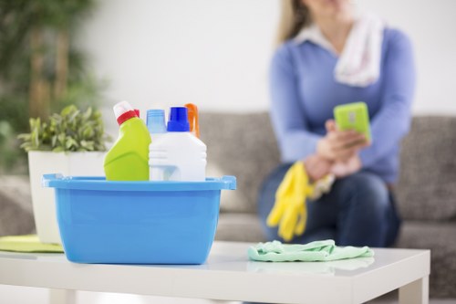Carpet cleaning technician treating high-traffic areas in a Crewshill home