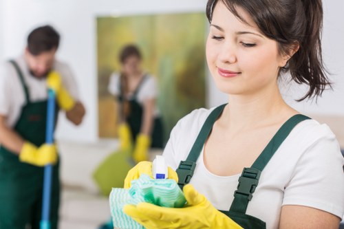 Customer raising a carpet cleaning complaint for review