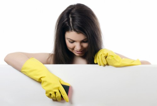 Final section explaining fair carpet cleaners pricing and quotes